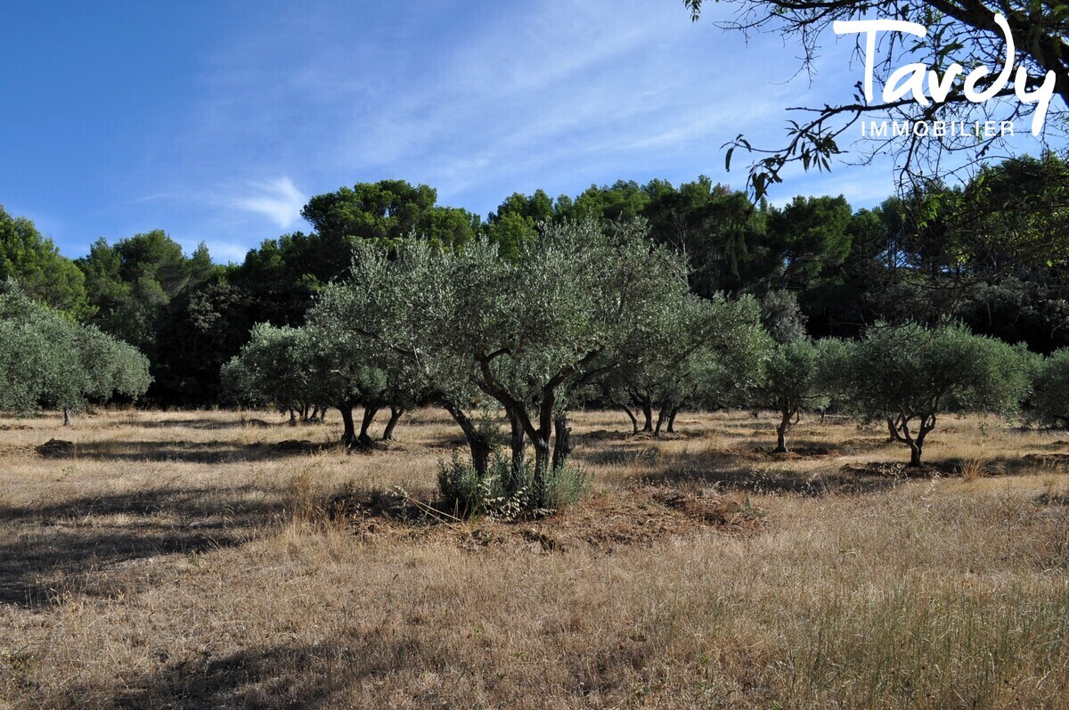 Ferme en pierre  rnover proche Lourmarin - 84360 LAURIS - Lourmarin