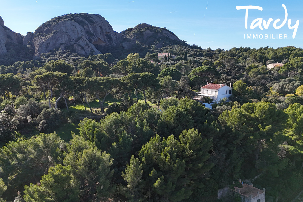 Pieds dans l'eau sur 2 hectares - 13600 LA CIOTAT - La Ciotat - Proche port La Ciotat 13600 Tardy Immobilier