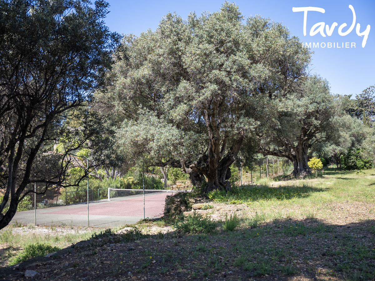 Proprit face  la mer - 83270 SAINT-CYR-SUR-MER - Saint-Cyr-sur-Mer