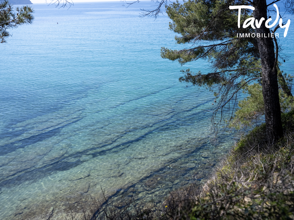 Proprit face  la mer - 83270 SAINT-CYR-SUR-MER - Saint-Cyr-sur-Mer