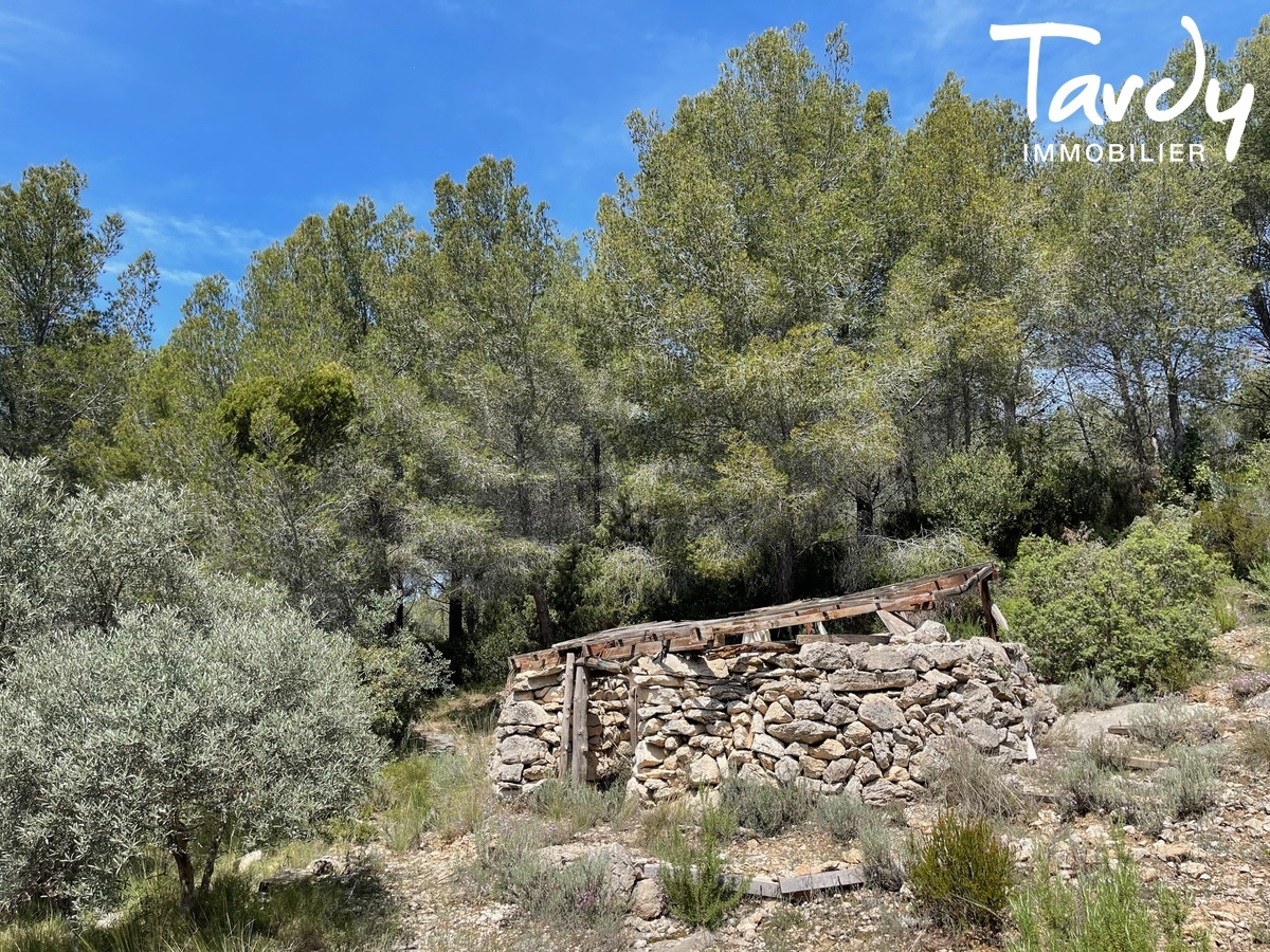 Proprit familiale, vue mer et collines - 83110 SANARY SUR MER - Sanary-sur-Mer