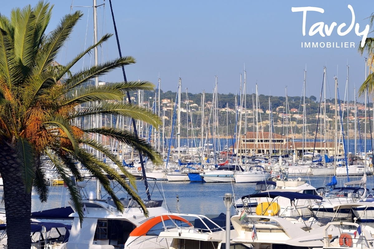 Contemporaine  pied du port de Bandol - 83150 BANDOL - Bandol