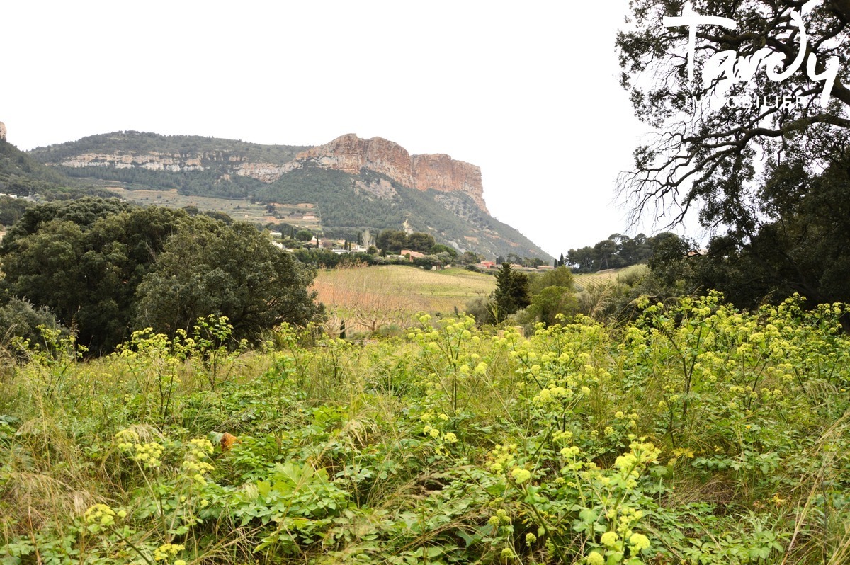 Bastide fin 18  5 min. du port - 13260 CASSIS - Cassis