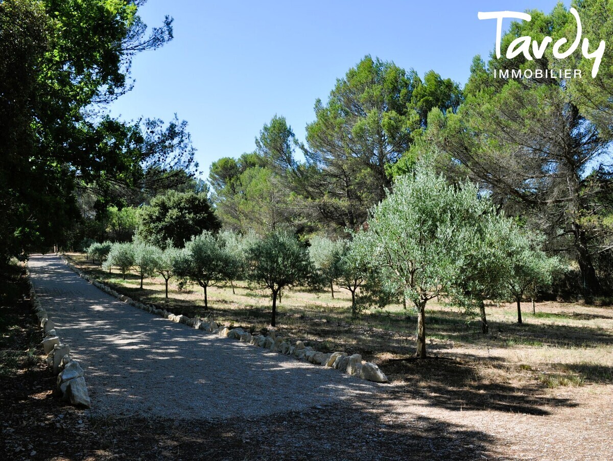 Proprit avec grand terrain proche de Lourmarin  84160 Vaugines - Lourmarin