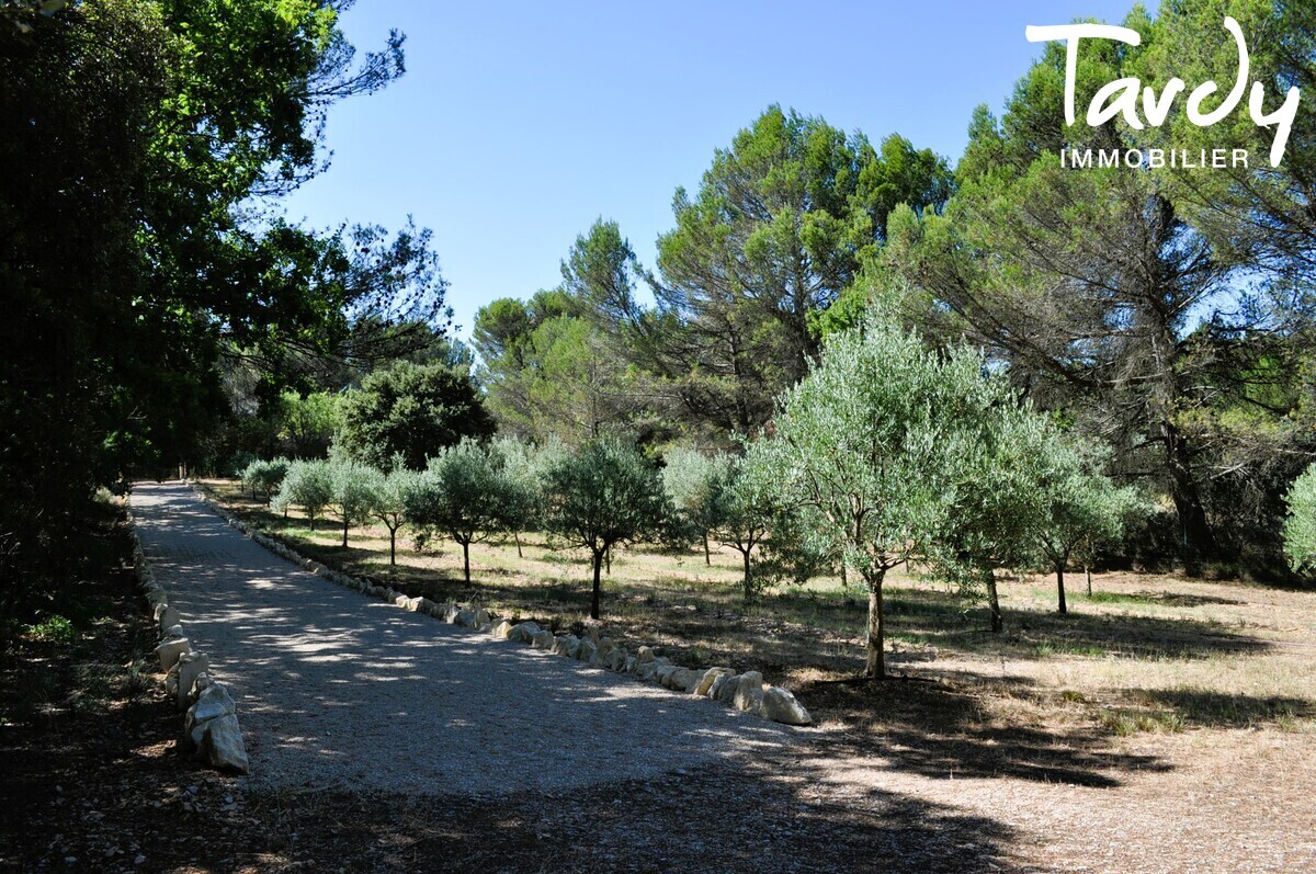Proprit avec grand terrain proche de Lourmarin  84160 Vaugines - Lourmarin