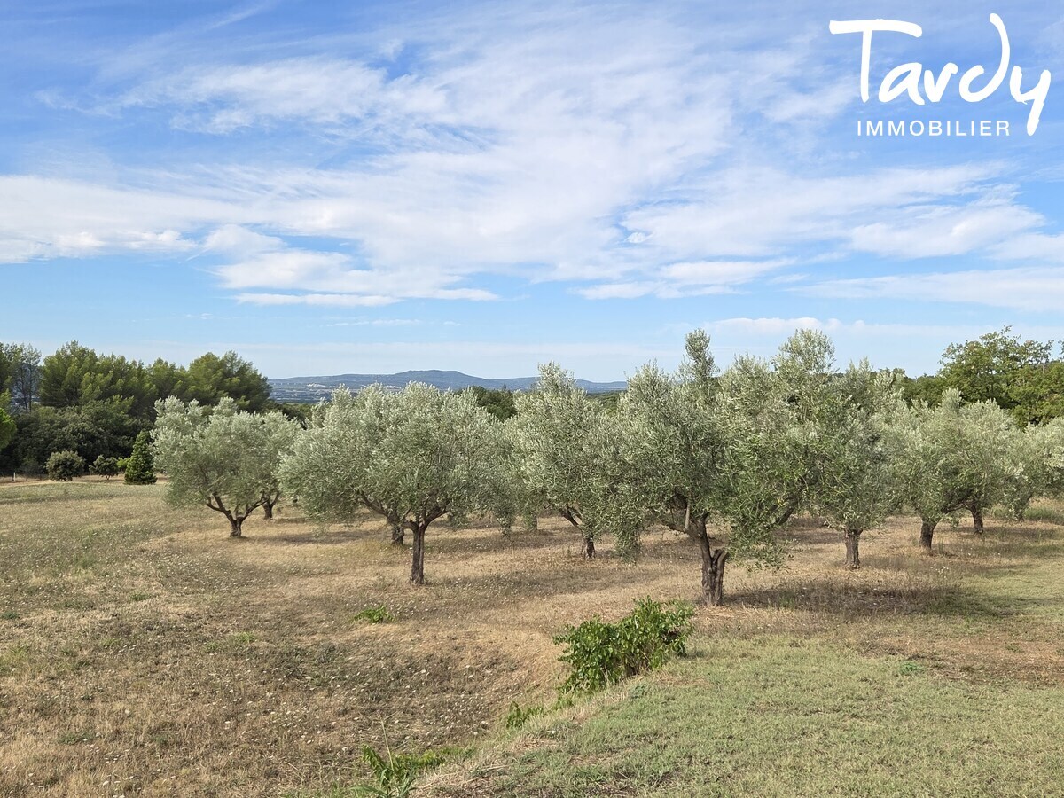Mas en pierre - environnement exceptionnel - 84360 LAURIS - Lourmarin