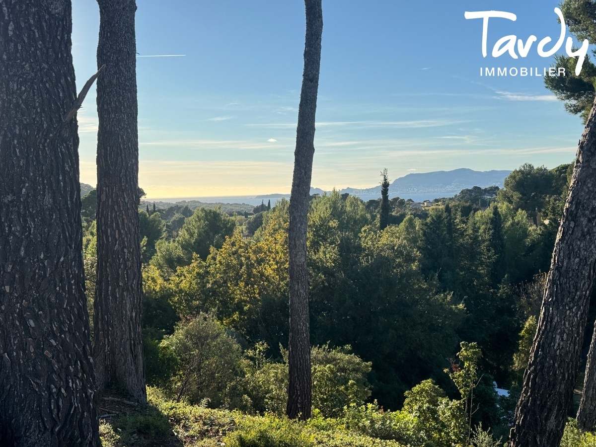 Proprit au milieu des vignes et des Oliviers - 83270 SAINT-CYR-SUR MER  - Saint-Cyr-sur-Mer