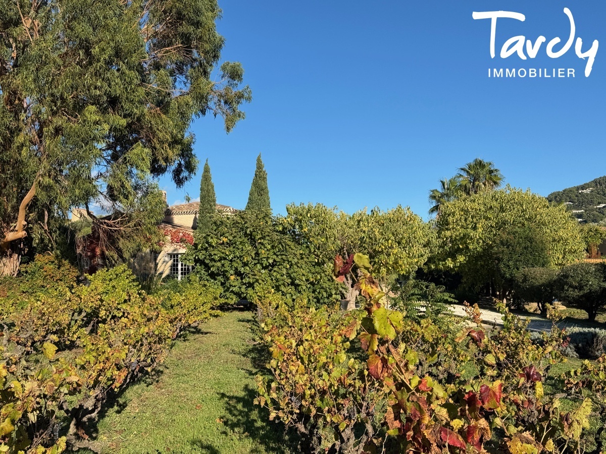 Proprit au milieu des vignes et des Oliviers - 83270 SAINT-CYR-SUR MER  - Saint-Cyr-sur-Mer - Plusiuers batis proprit avec vignes et Oliviers Saint Cyr sur  Mer Tardy Immobilier