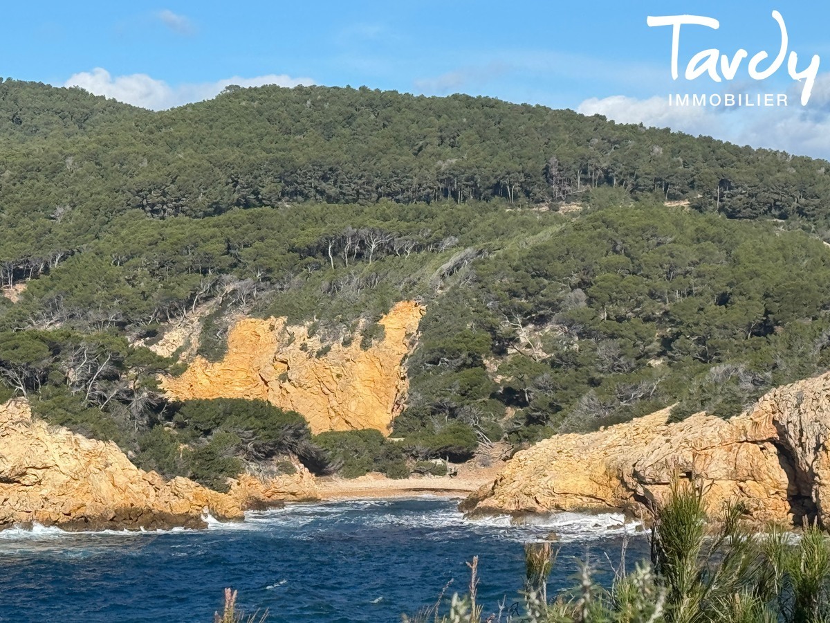 Propri�t� vue et acc�s mer - 83150 BANDOL - Bandol - Crique sauvage villa architecte 13600 La Ciotat Tardy