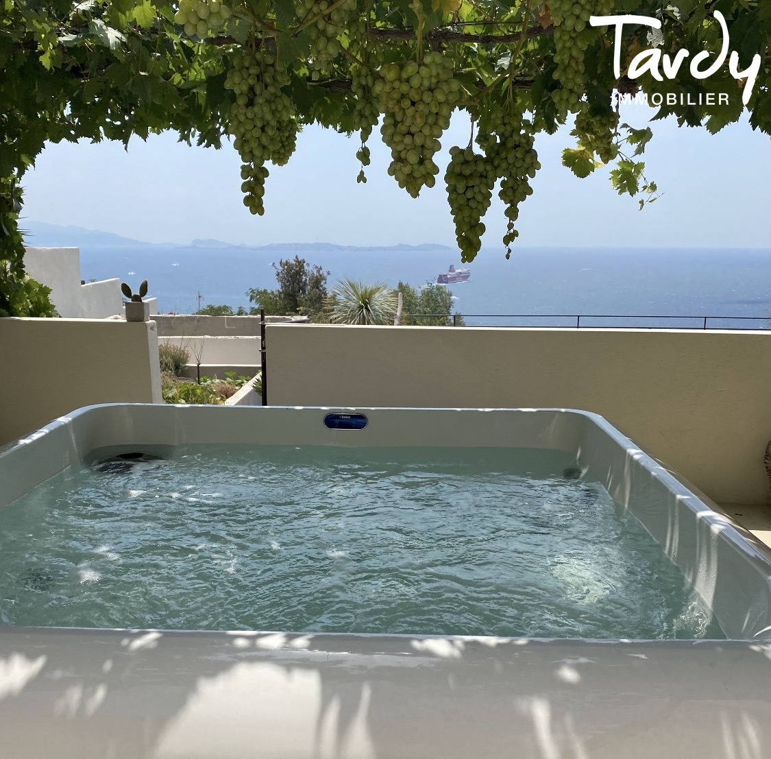 Vue F�erique sur la rade de Marseille - 13016 Marseille  - Marseille 16�me