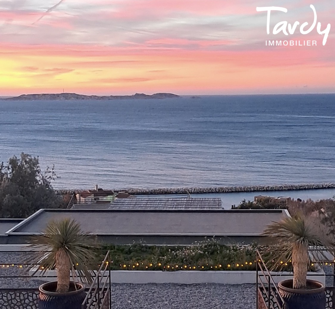 Vue F�erique sur la rade de Marseille - 13016 Marseille  - Marseille 16�me