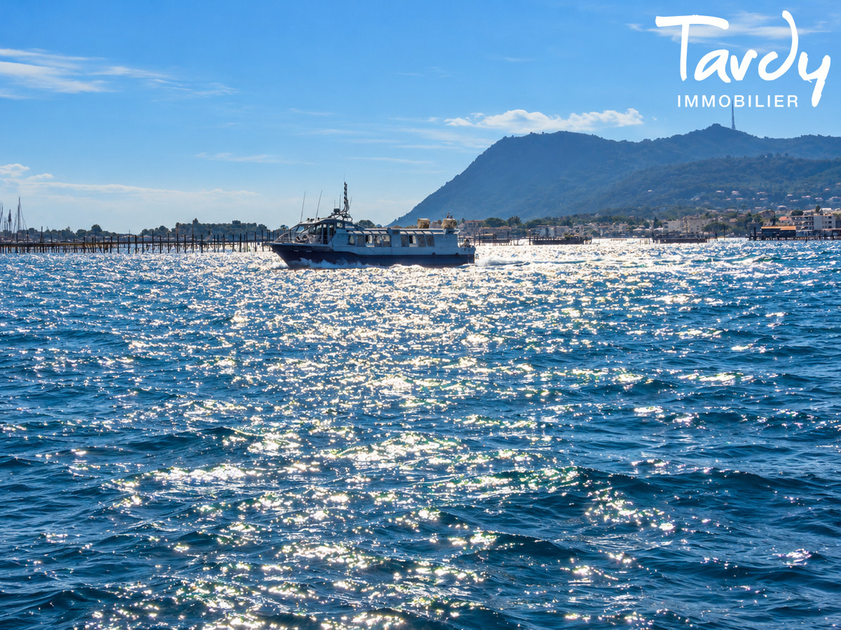 Attique avec jardin face � la mer - 83500 TAMARIS SUR MER - Tamaris sur Mer