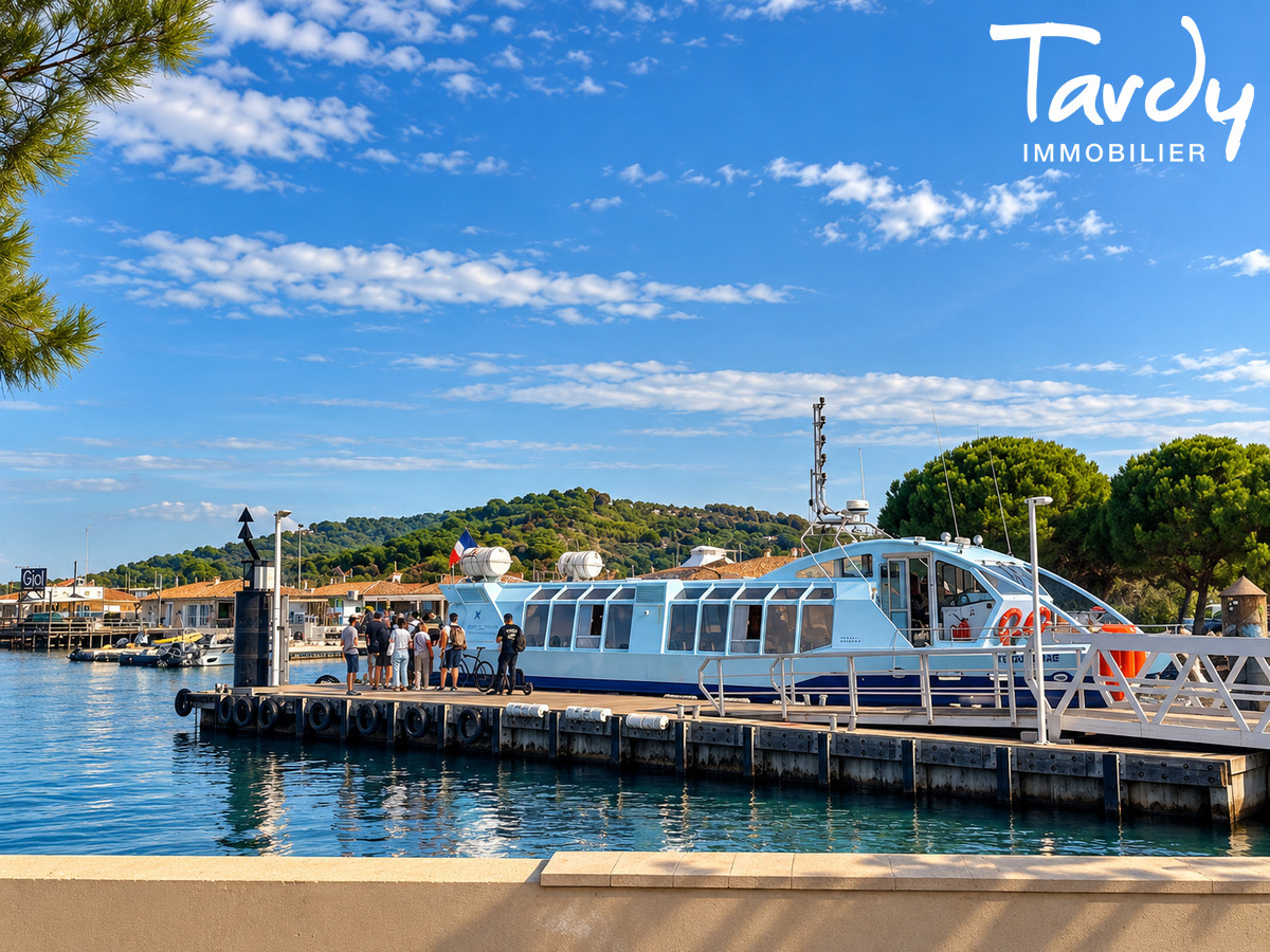 Attique avec jardin face � la mer - 83500 TAMARIS SUR MER - Tamaris sur Mer